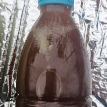 土蜂蜜