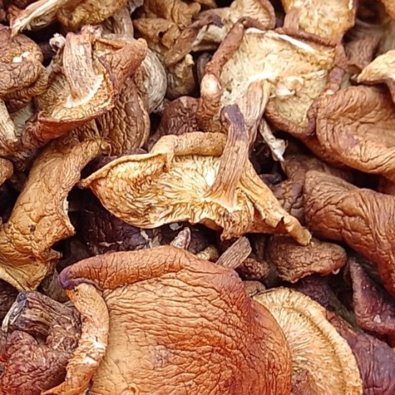 野生干香菇