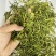 茶片白茶片2026年新毛峰白茶片饭店用茶