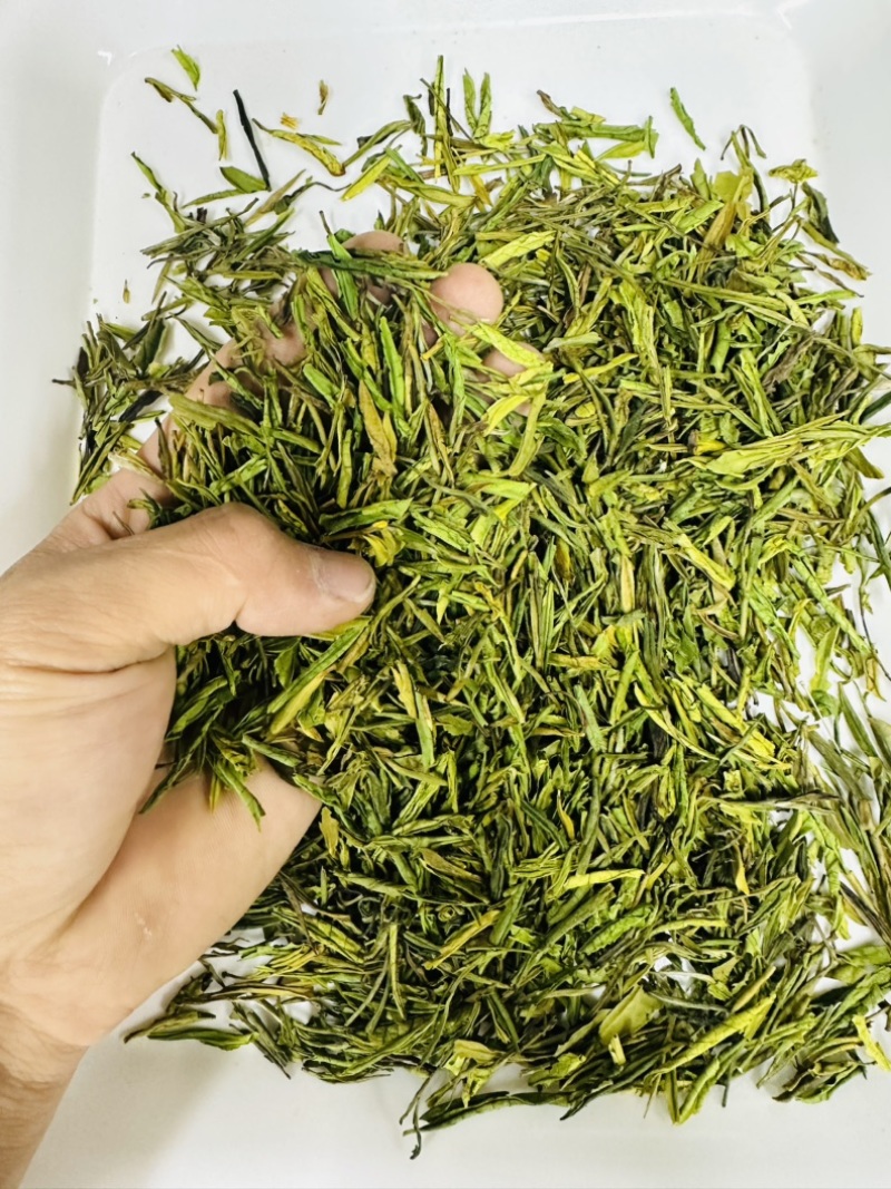 茶片白茶片2026年新毛峰白茶片饭店用茶