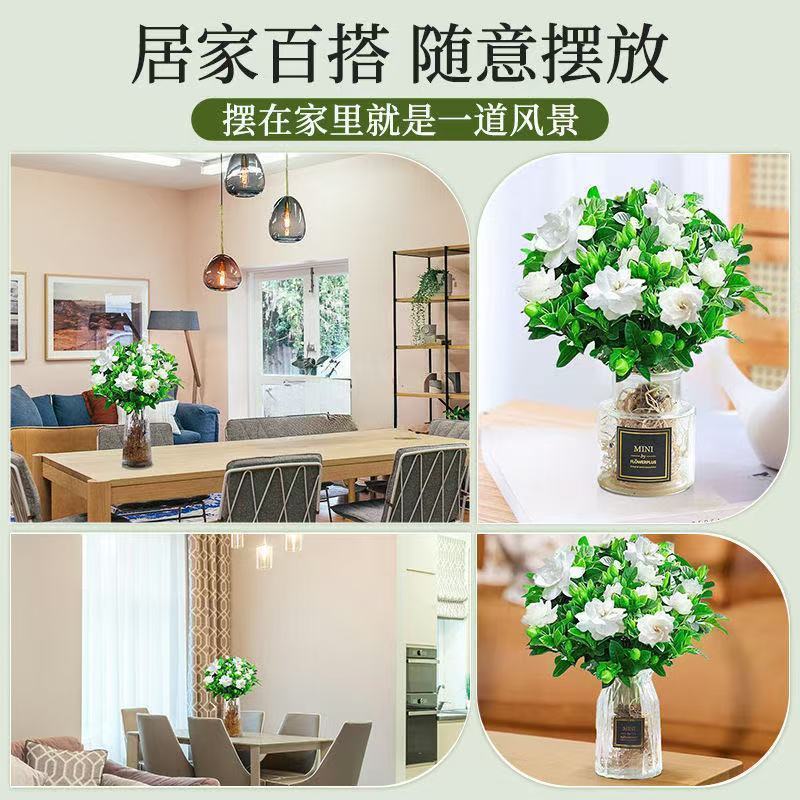 栀子花盆栽带花苞室内水培四季桌面开花好养绿植花卉