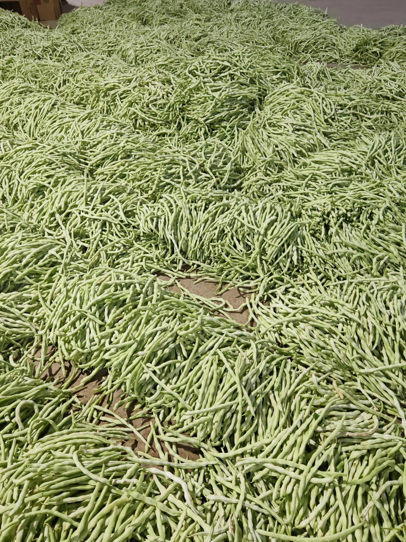 山西应县白王中王，白无丝大量供应，产地直供，可供电商。