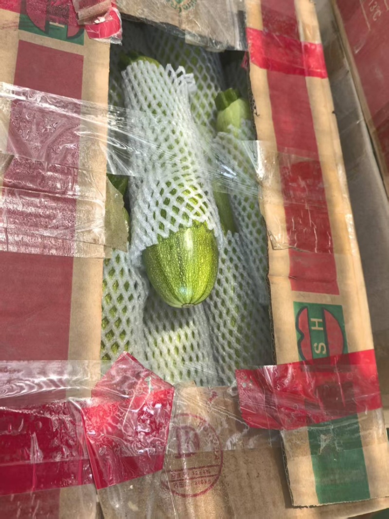 绿皮西葫芦