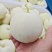 精品佳秀6西瓜甘美4K，甜瓜美浓麒麟。大量上市！