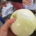 精品佳秀6西瓜甘美4K，甜瓜美浓麒麟。大量上市！