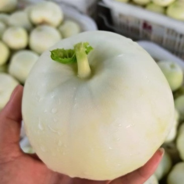 精品佳秀6西瓜甘美4K，甜瓜美浓麒麟。大量上市！