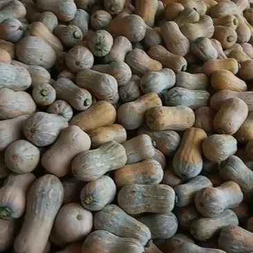 773