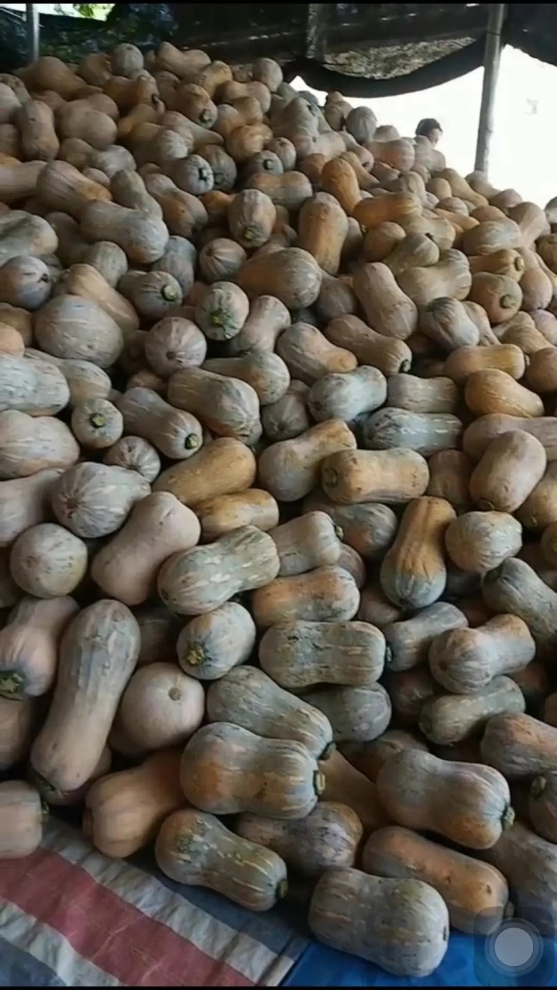 773