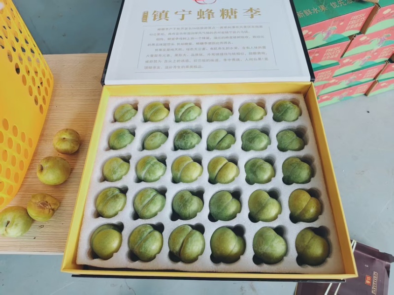 电商】蜂糖李贵州六马李子对接电商一件代发