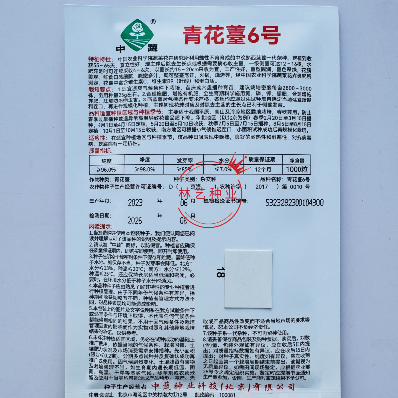 青花薹6号杂交西兰苔种子中晚熟侧枝多耐热耐寒春秋蔬菜种籽