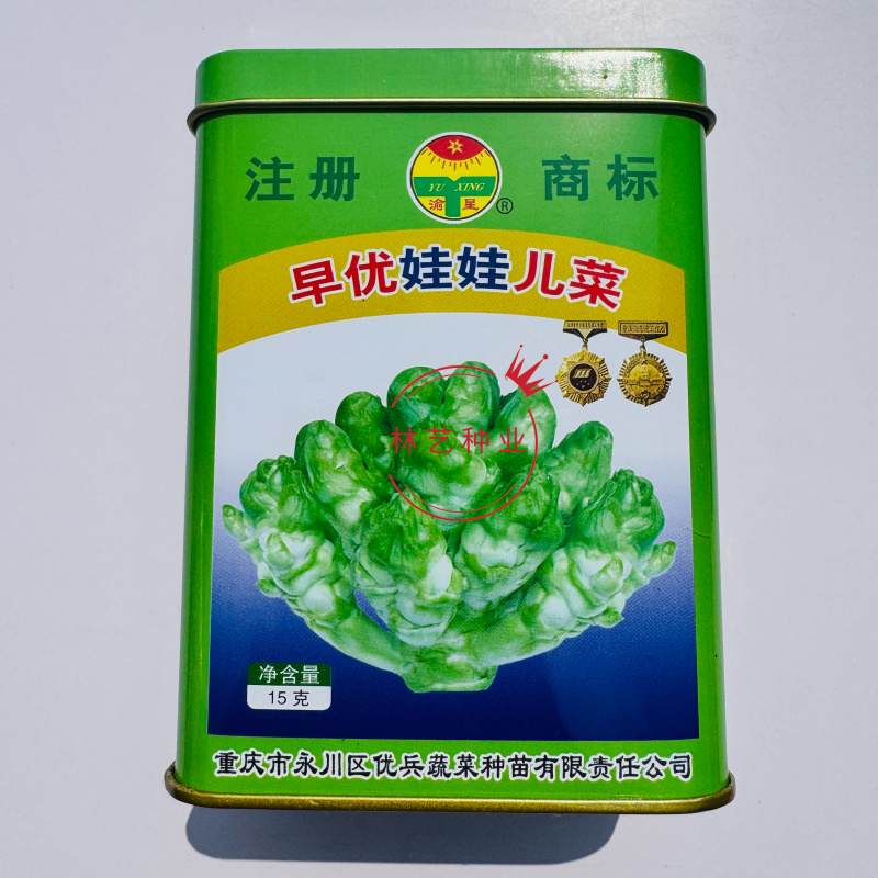 早优娃娃儿菜种子早熟儿菜种籽优质儿菜种子母子菜种子榨菜种