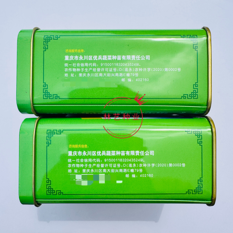早优娃娃儿菜种子早熟儿菜种籽优质儿菜种子母子菜种子榨菜种