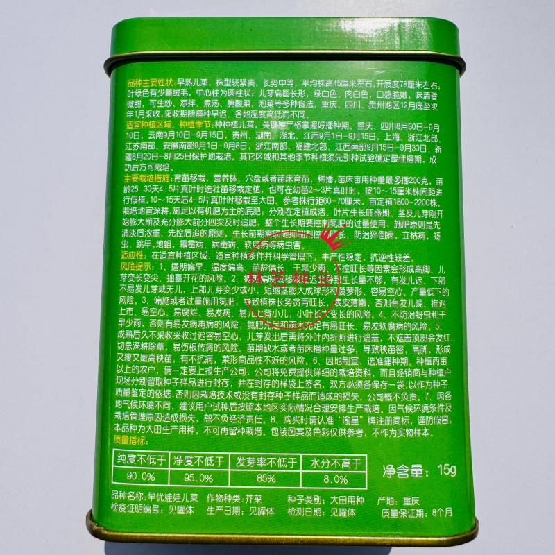 早优娃娃儿菜种子早熟儿菜种籽优质儿菜种子母子菜种子榨菜种