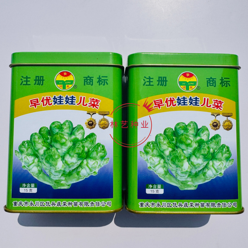 早优娃娃儿菜种子早熟儿菜种籽优质儿菜种子母子菜种子榨菜种