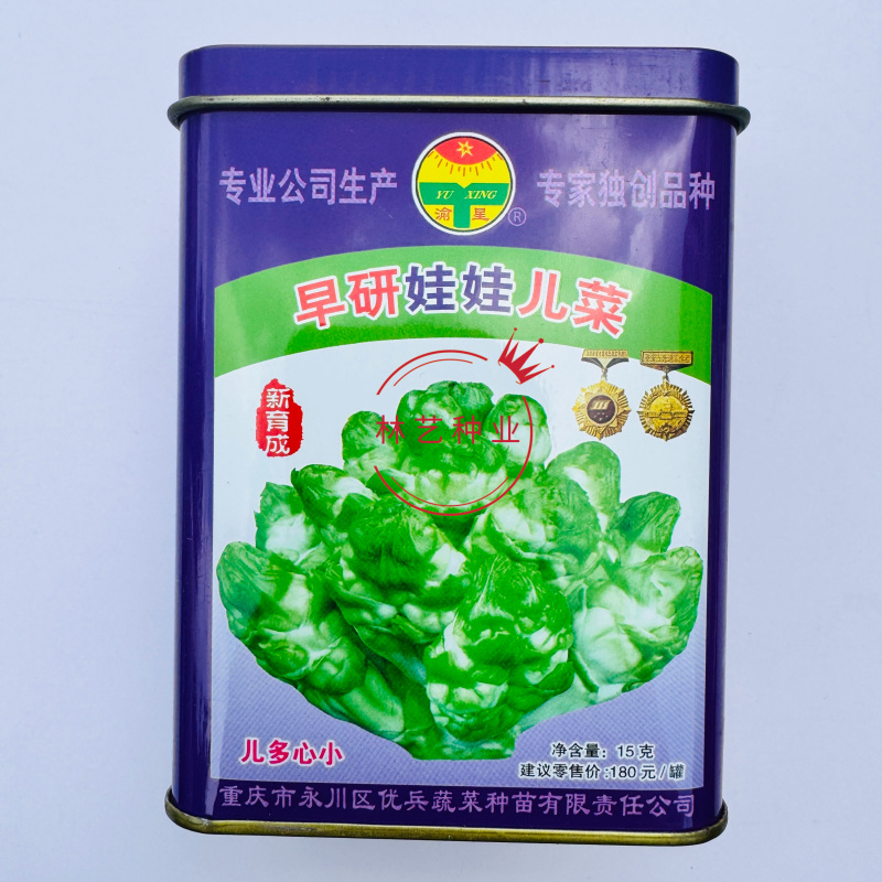 早研娃娃儿菜种子早熟耐寒儿菜种籽母子菜种子芥菜种子榨菜种