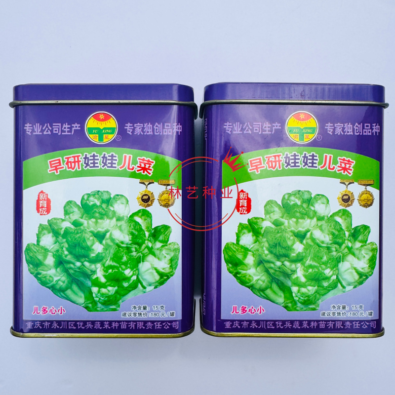 早研娃娃儿菜种子早熟耐寒儿菜种籽母子菜种子芥菜种子榨菜种