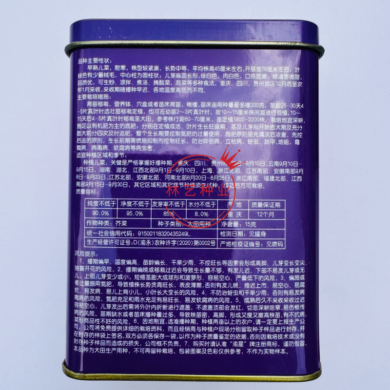 早研娃娃儿菜种子早熟耐寒儿菜种籽母子菜种子芥菜种子榨菜种