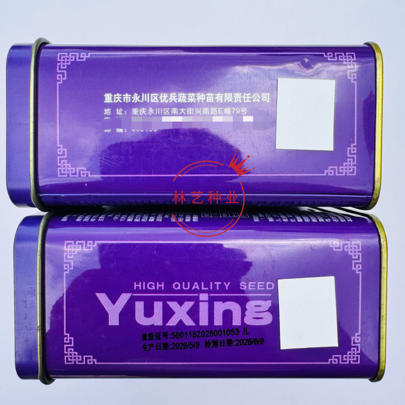 早研娃娃儿菜种子早熟耐寒儿菜种籽母子菜种子芥菜种子榨菜种