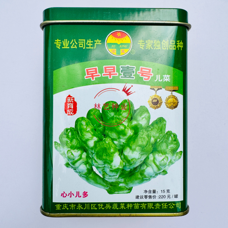 早早壹号儿菜种子心小儿多儿菜种籽榨菜种子芥菜种子榨菜种籽