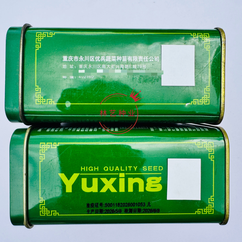 早早壹号儿菜种子心小儿多儿菜种籽榨菜种子芥菜种子榨菜种籽