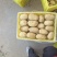 希森v7土豆大量上市产地直发量大从优欢迎来电