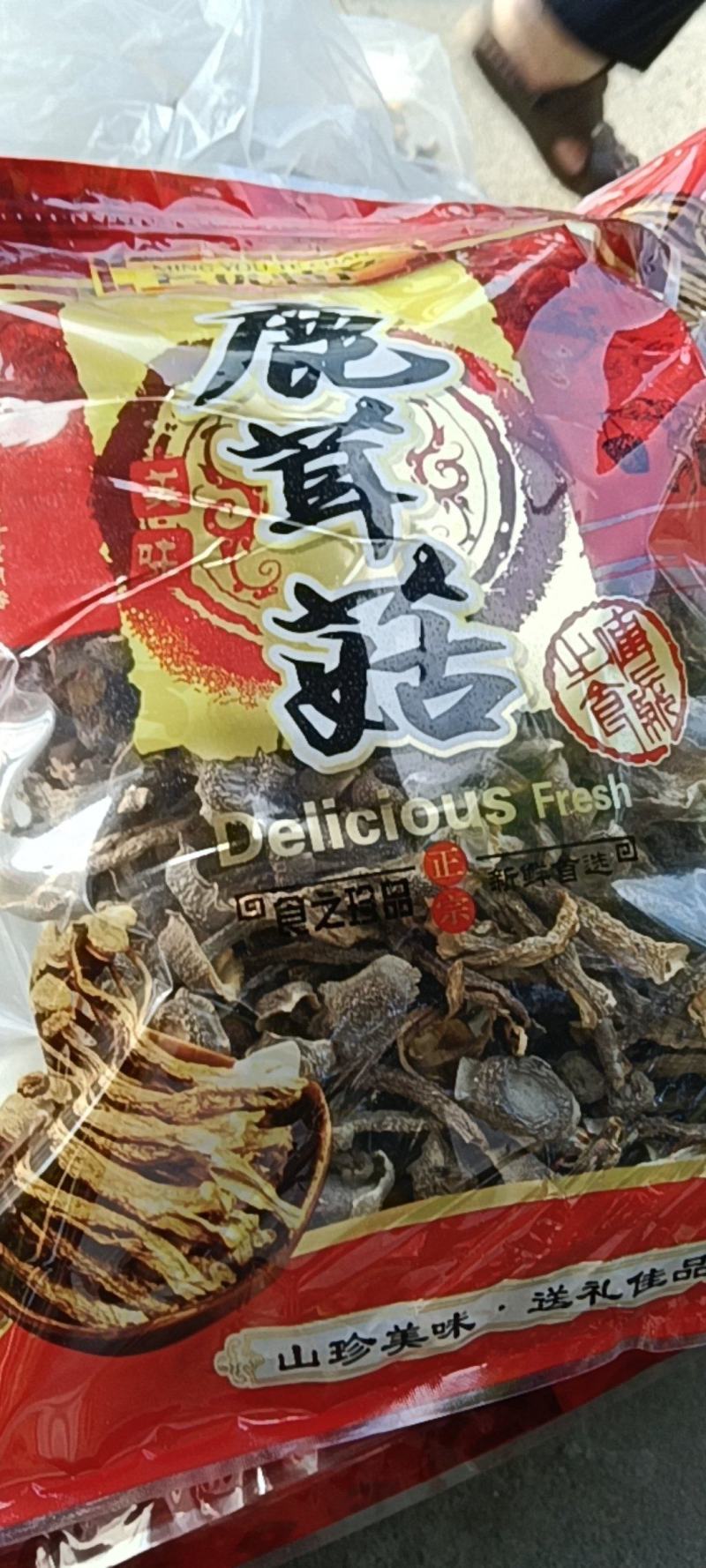 鹿茸菇