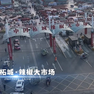 辣椒