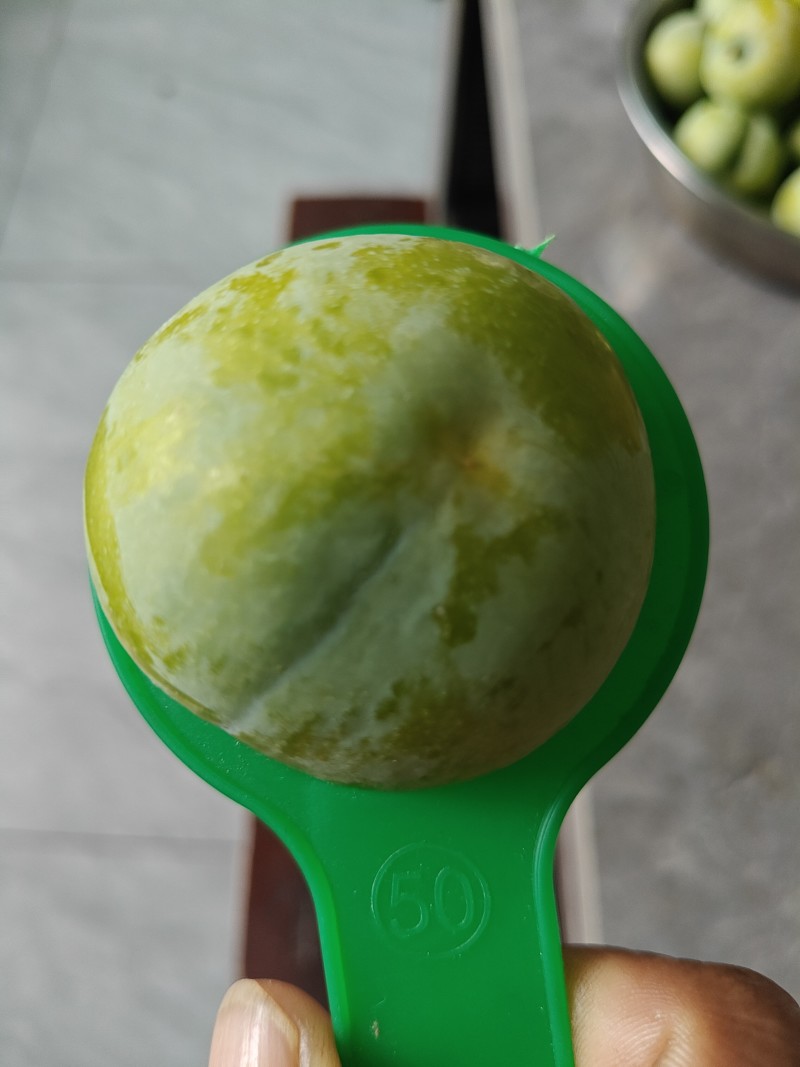 铜仁思南蜂糖李
