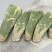 黄大刺仙人掌嫁接开花结果食用药用