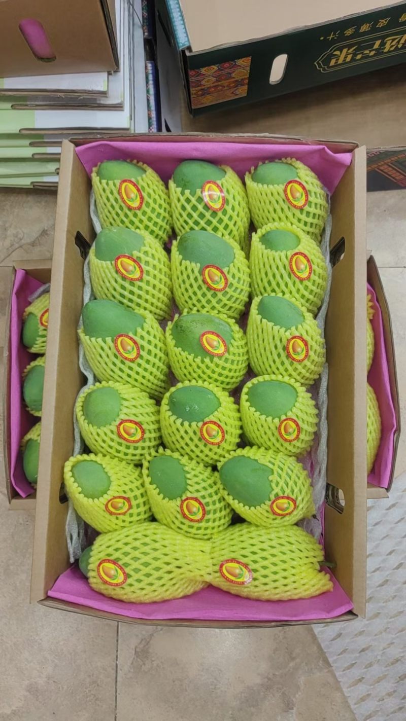 广西百色芒果