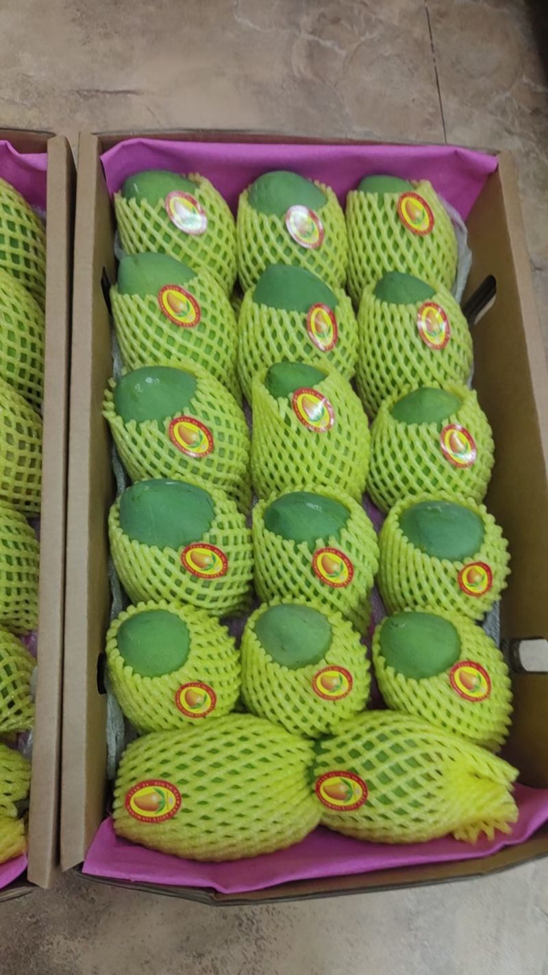 广西百色芒果