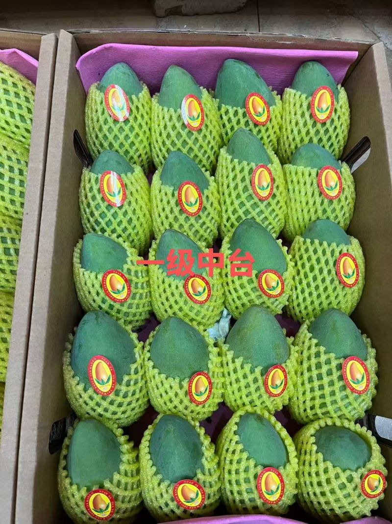 广西百色芒果