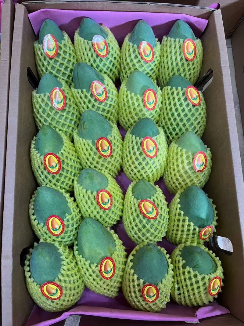 广西百色芒果