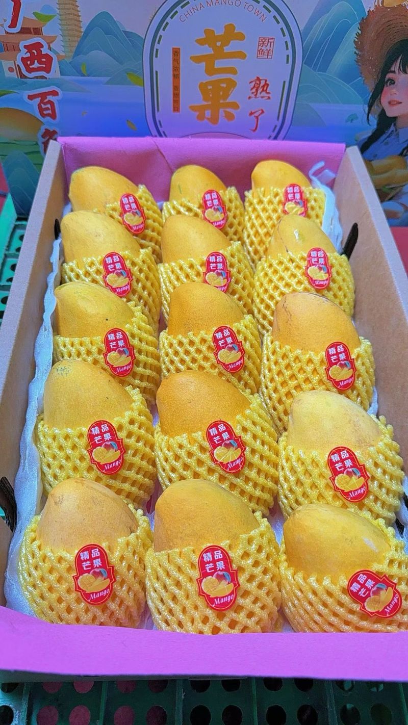 广西百色芒果