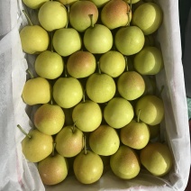 高山早白蜜