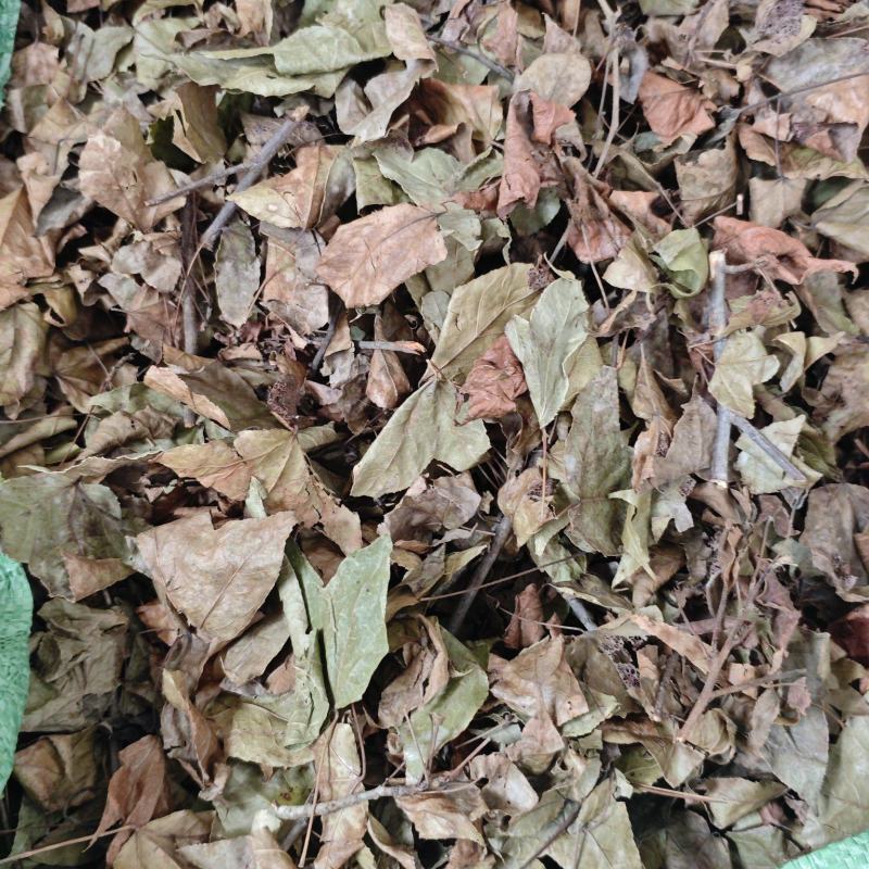 枫树叶枝切段切丝