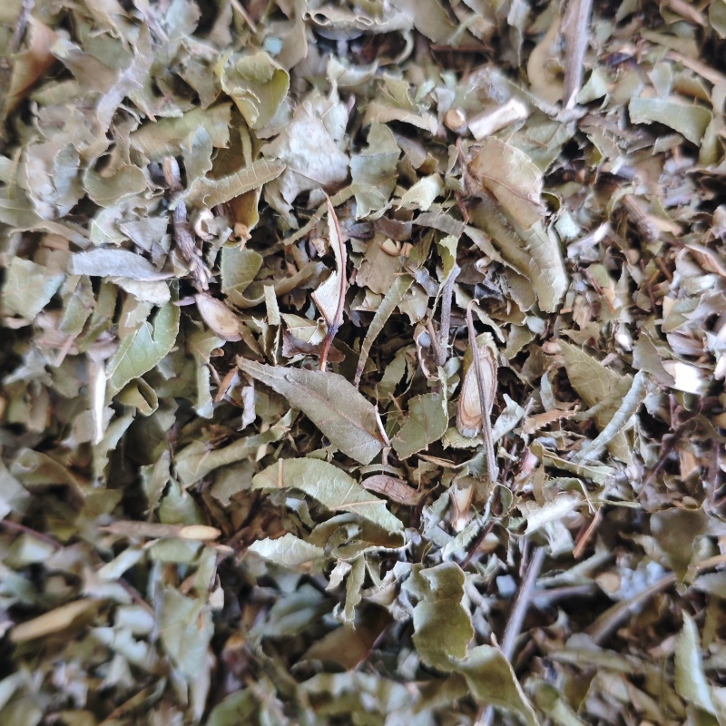枫树叶枝切段切丝