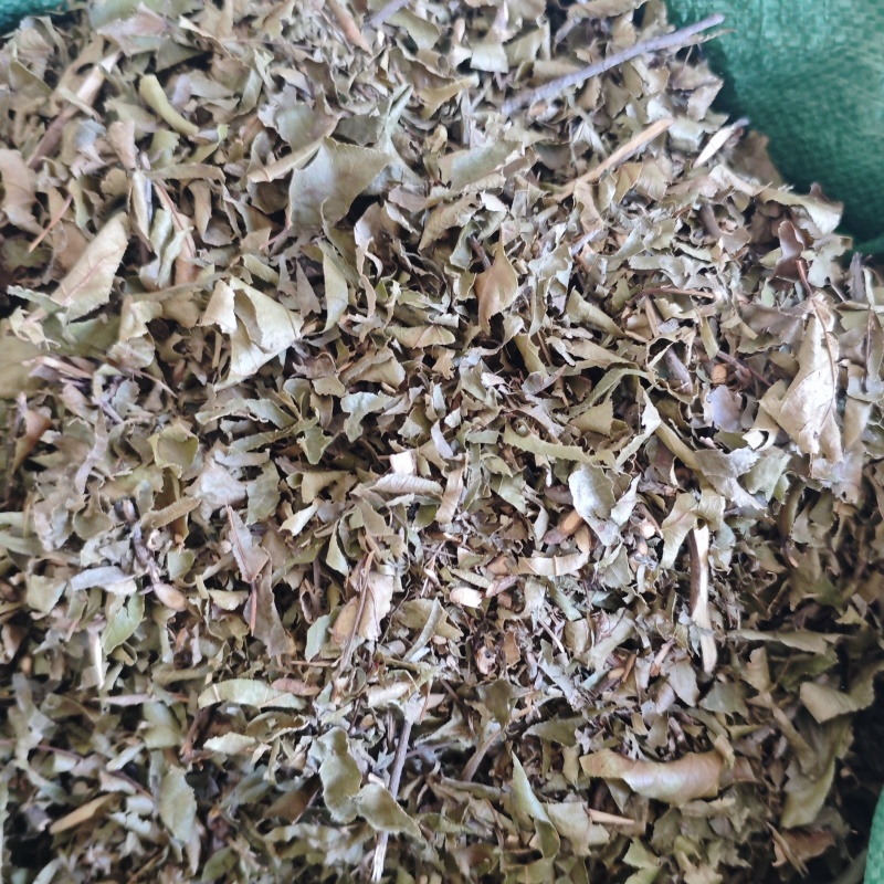 枫树叶枝切段切丝