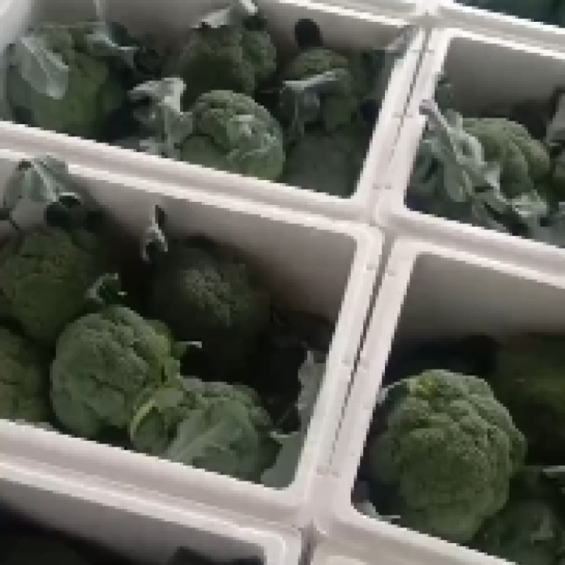 西高原西兰花产地直供，花球紧实，米粒均匀，支持全国发货