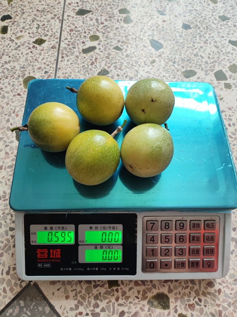 自家果园钦蜜9号黄金百香果｜90g起步特大果广西