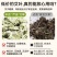 3年陈艾叶无梗野生纯艾草叶泡脚泡澡月子干净无杂端午陈年老