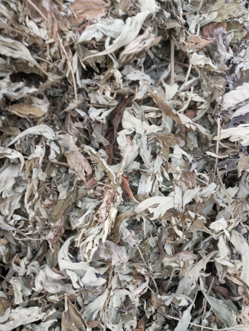 3年陈艾叶无梗野生纯艾草叶泡脚泡澡月子干净无杂端午陈年老