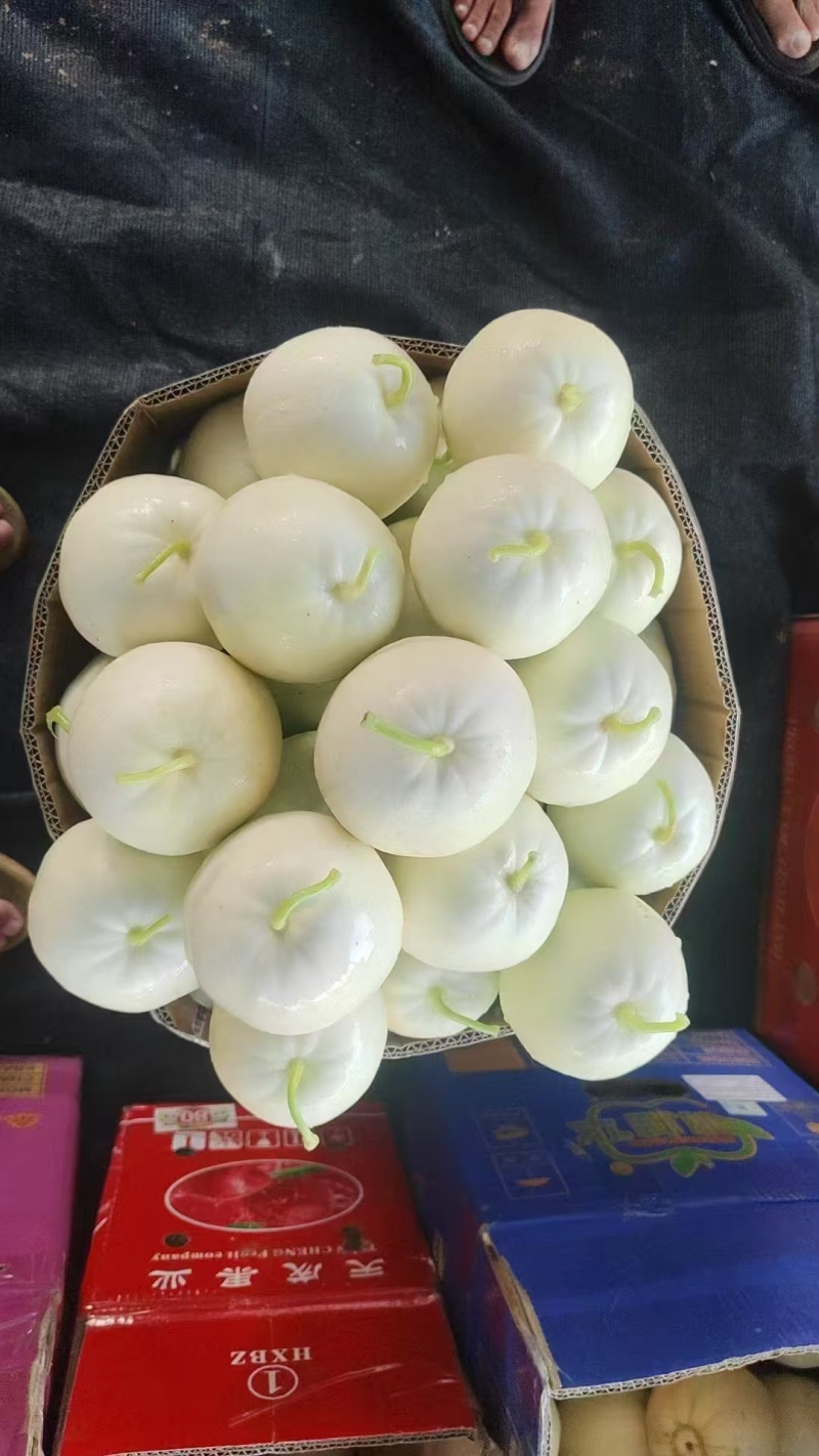 湖北美浓甜瓜，白甜宝香瓜，产地直发，品质保证