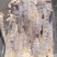 母猪长尾(质量如图)没有尾根,精品中的精品