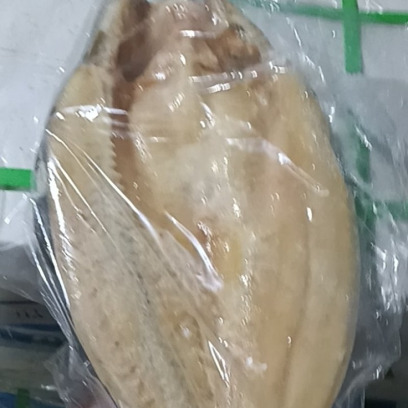 巴沙鱼