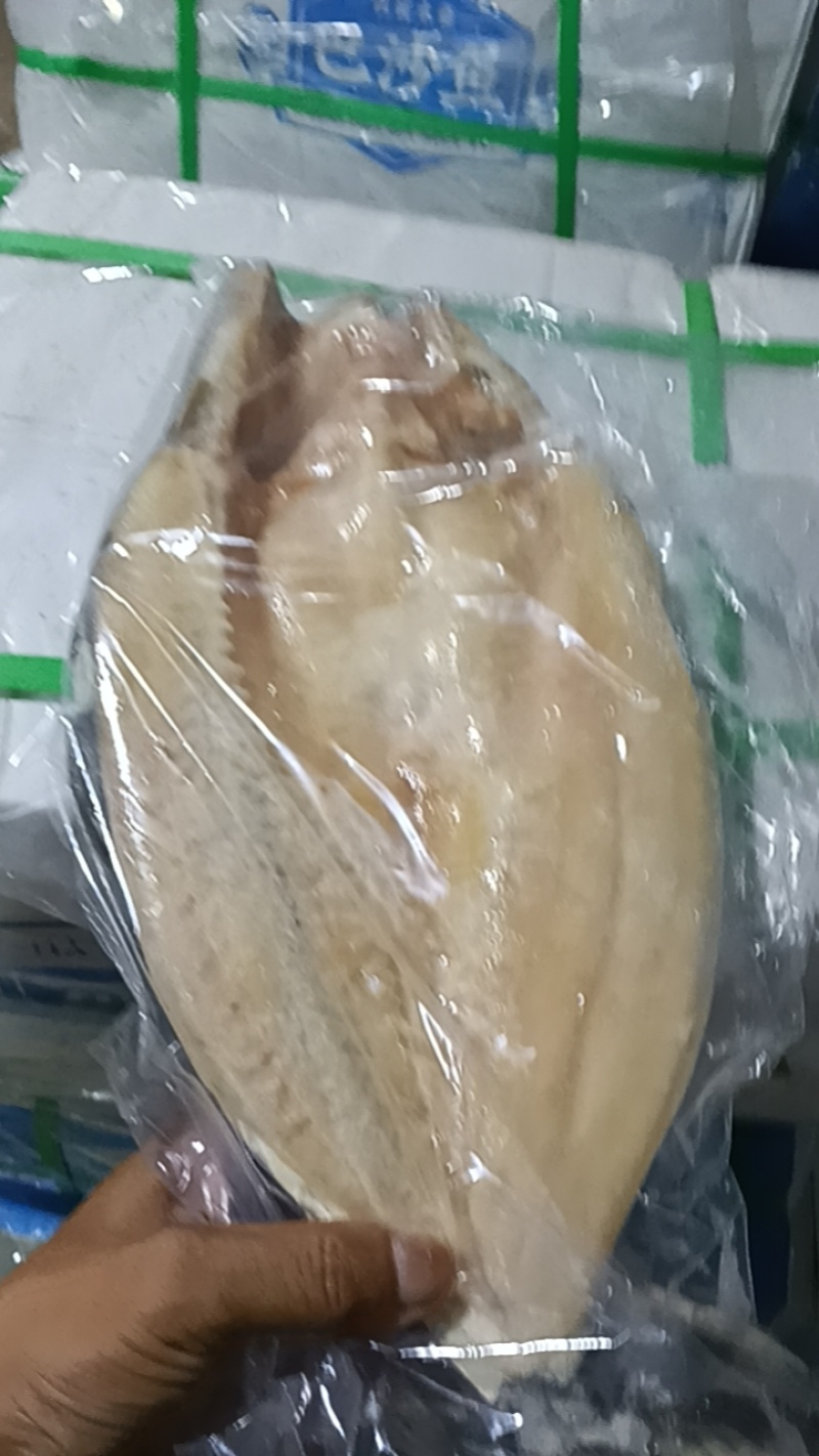巴沙鱼