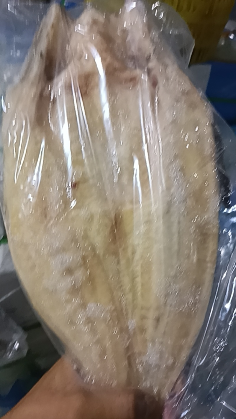巴沙鱼