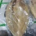 巴沙鱼