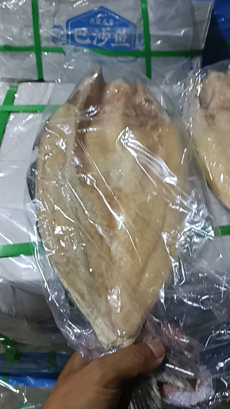 巴沙鱼