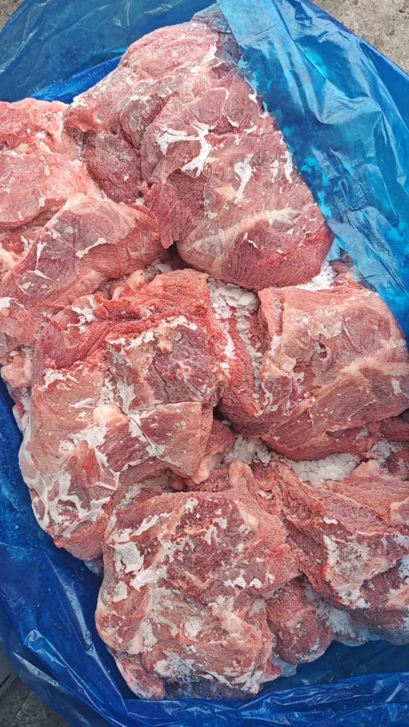 母猪二号肉，新货，长期生产，手续齐全。供应稳定